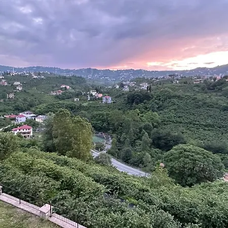 Greenplain Smurf Trabzon
