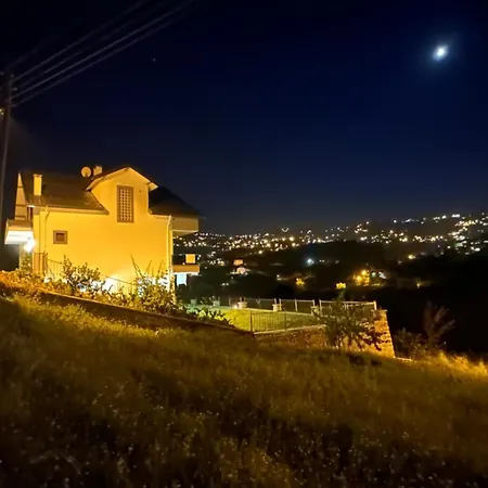 Greenplain Smurf * 特拉布宗