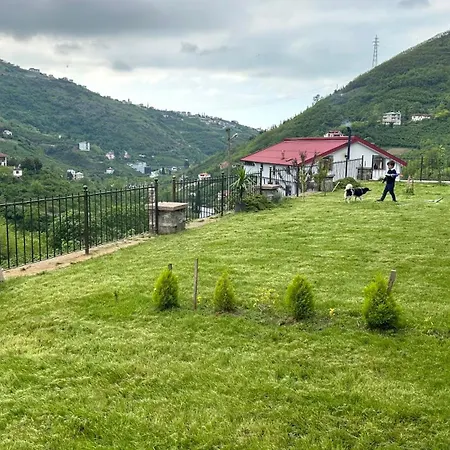 别墅 Greenplain Smurf