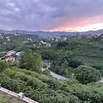 Greenplain Smurf Trabzon