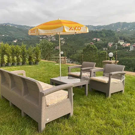 Greenplain Smurf * Trabzon