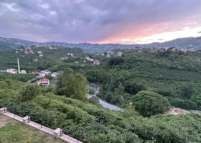 Greenplain Smurf Trabzon